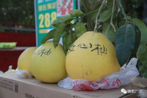 初九吃瓜,揭秘娱乐圈幕后故事