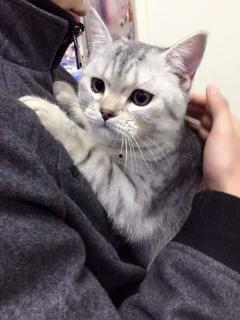 吃瓜视频爆笑大全,让你笑到肚子疼